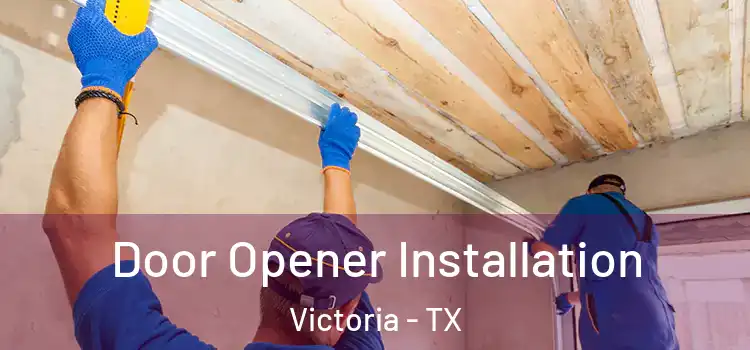  Door Opener Installation Victoria - TX