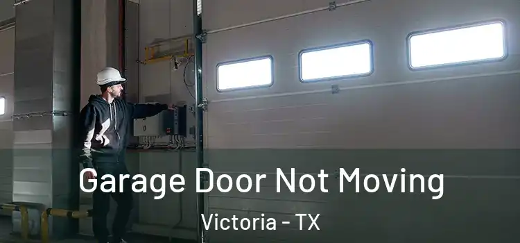  Garage Door Not Moving Victoria - TX