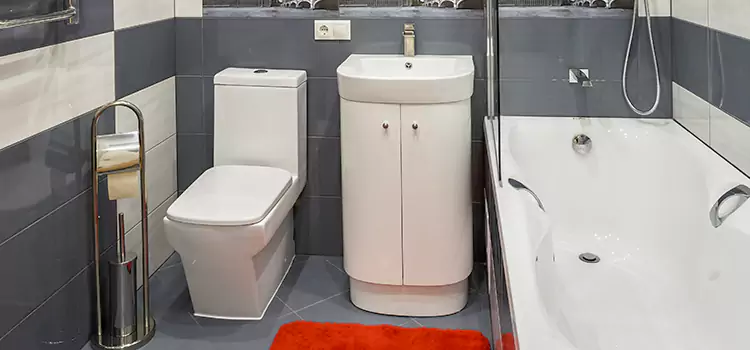 Hansgrohe Shaving Mirror Victoria
